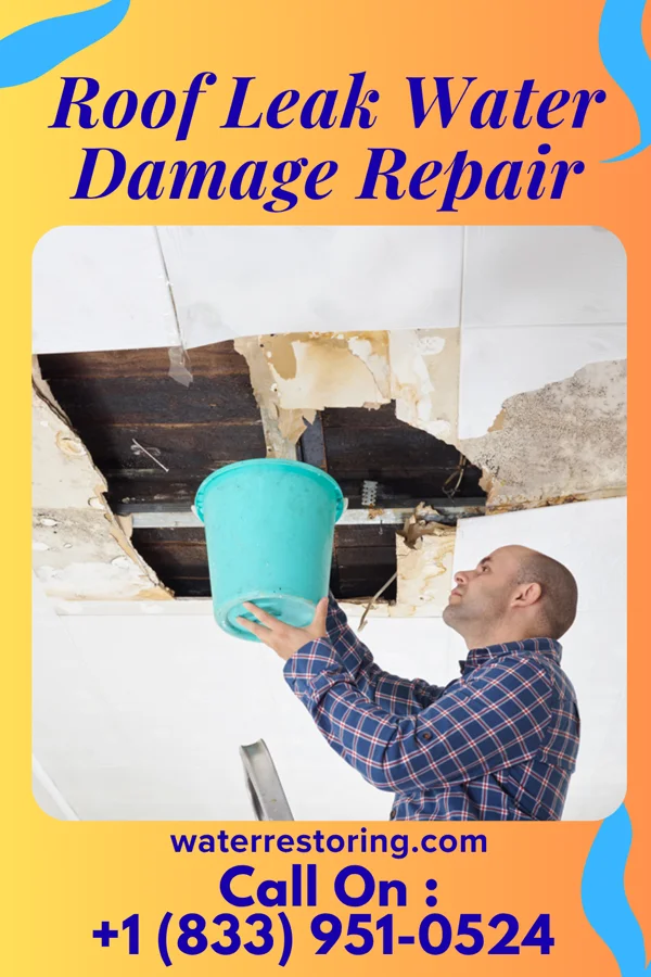 Roof Leak Water Damage Repair in Auburn, WA